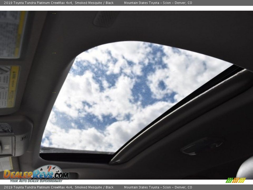 2019 Toyota Tundra Platinum CrewMax 4x4 Smoked Mesquite / Black Photo #9