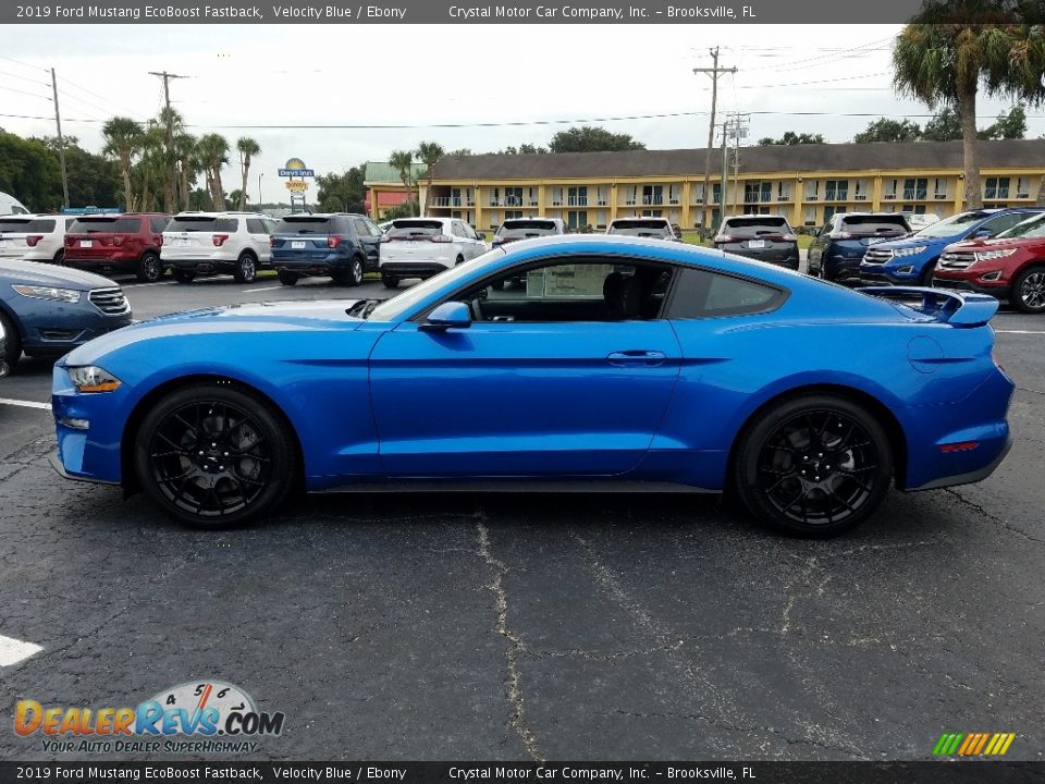 Velocity Blue 2019 Ford Mustang EcoBoost Fastback Photo #2