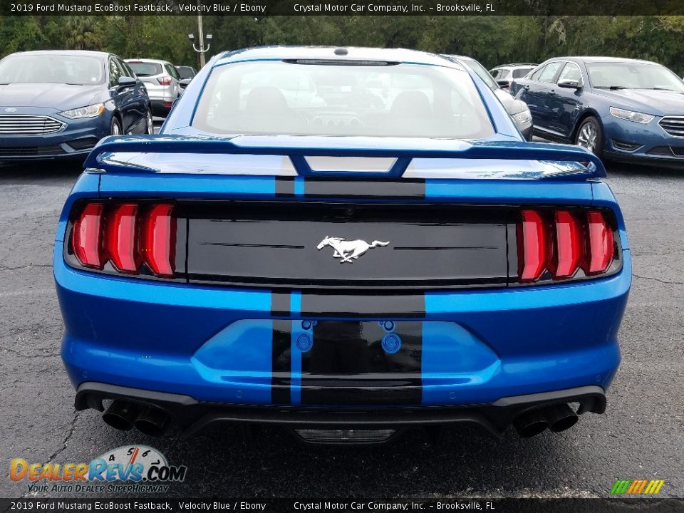 2019 Ford Mustang EcoBoost Fastback Velocity Blue / Ebony Photo #4