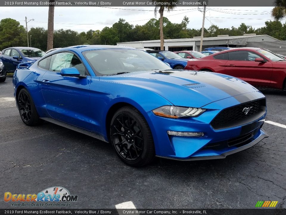 Velocity Blue 2019 Ford Mustang EcoBoost Fastback Photo #7