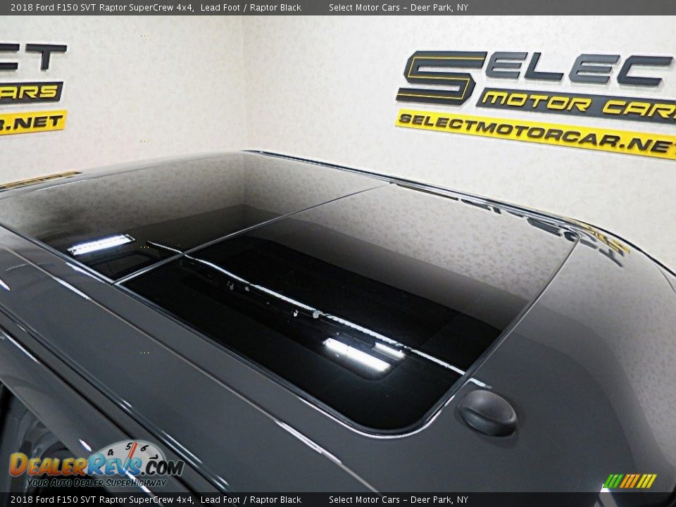 2018 Ford F150 SVT Raptor SuperCrew 4x4 Lead Foot / Raptor Black Photo #16