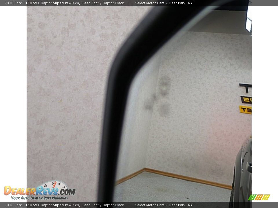 2018 Ford F150 SVT Raptor SuperCrew 4x4 Lead Foot / Raptor Black Photo #18