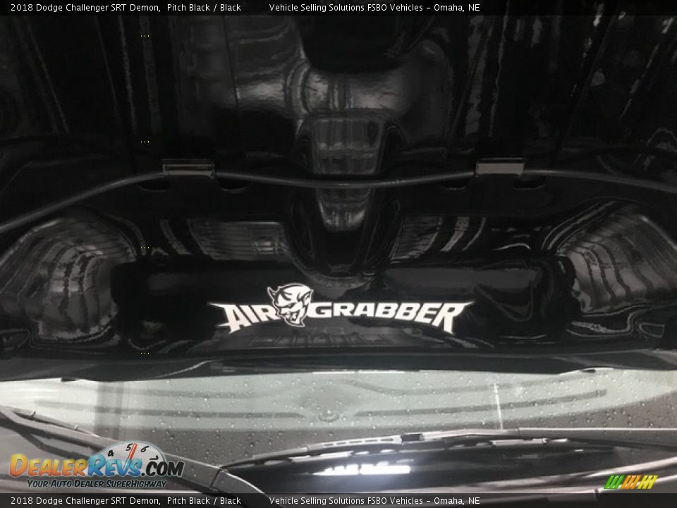 2018 Dodge Challenger SRT Demon Pitch Black / Black Photo #10