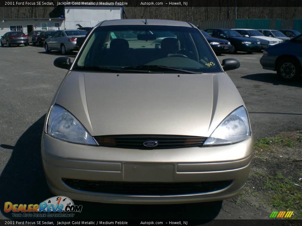 2001 Ford Focus SE Sedan Jackpot Gold Metallic / Medium Pebble Photo #1