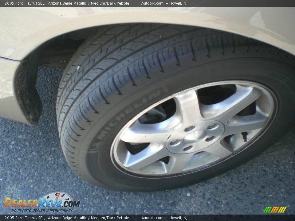 2005 Ford Taurus SEL Arizona Beige Metallic / Medium/Dark Pebble Photo #19