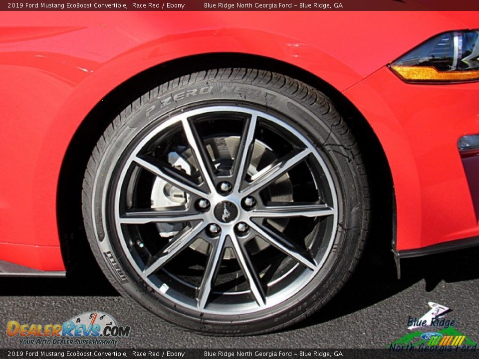 2019 Ford Mustang EcoBoost Convertible Race Red / Ebony Photo #9