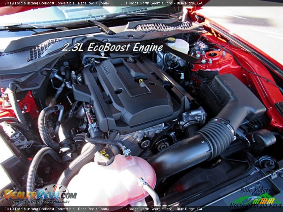 2019 Ford Mustang EcoBoost Convertible Race Red / Ebony Photo #10