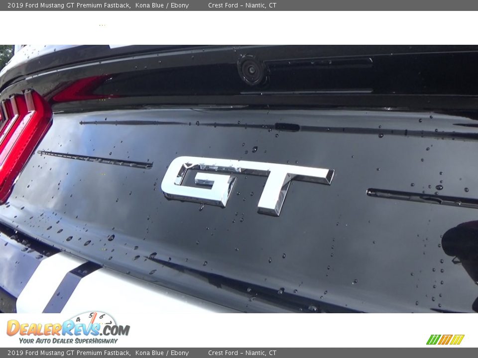 2019 Ford Mustang GT Premium Fastback Kona Blue / Ebony Photo #9