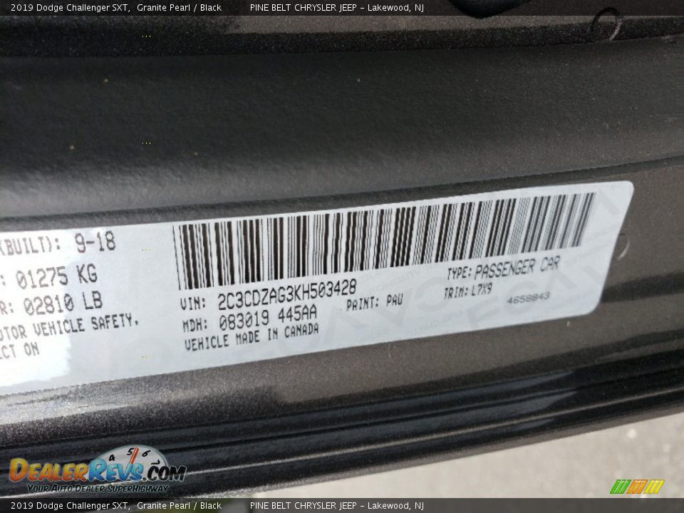 2019 Dodge Challenger SXT Granite Pearl / Black Photo #9