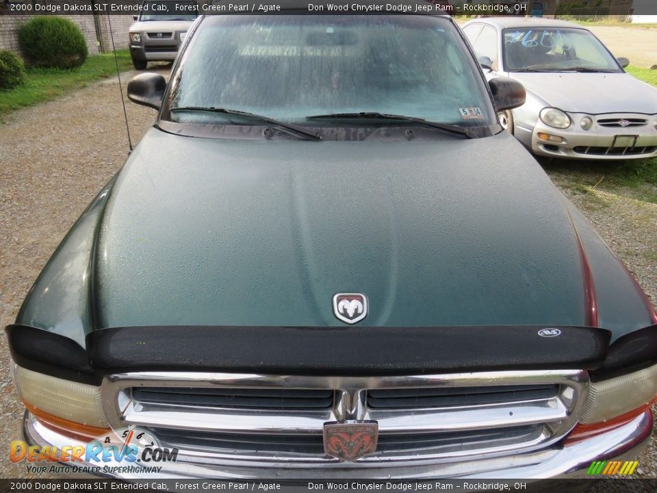 2000 Dodge Dakota SLT Extended Cab Forest Green Pearl / Agate Photo #4