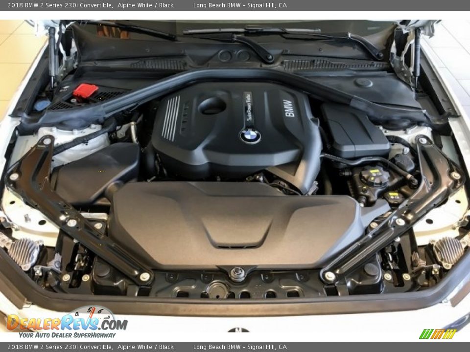 2018 BMW 2 Series 230i Convertible Alpine White / Black Photo #8