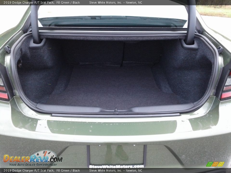 2019 Dodge Charger R/T Scat Pack F8 Green / Black Photo #13