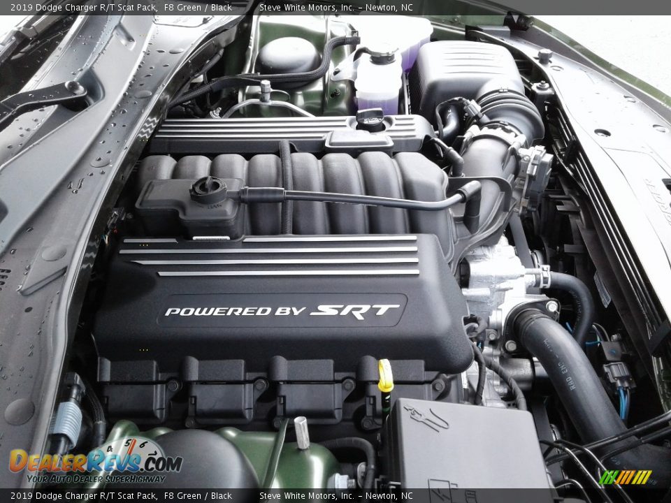 2019 Dodge Charger R/T Scat Pack F8 Green / Black Photo #34
