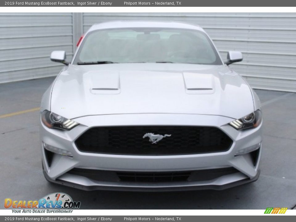 2019 Ford Mustang EcoBoost Fastback Ingot Silver / Ebony Photo #2