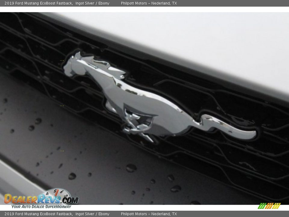 2019 Ford Mustang EcoBoost Fastback Ingot Silver / Ebony Photo #4