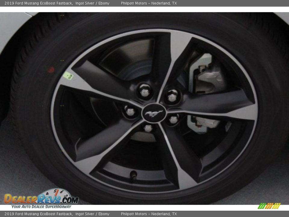 2019 Ford Mustang EcoBoost Fastback Ingot Silver / Ebony Photo #5