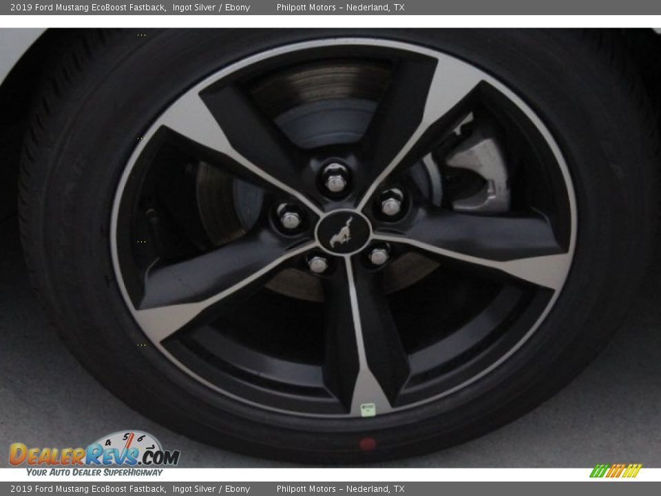 2019 Ford Mustang EcoBoost Fastback Ingot Silver / Ebony Photo #6