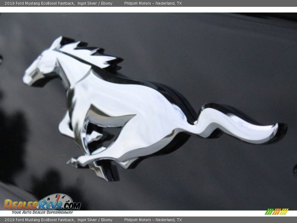 2019 Ford Mustang EcoBoost Fastback Ingot Silver / Ebony Photo #10