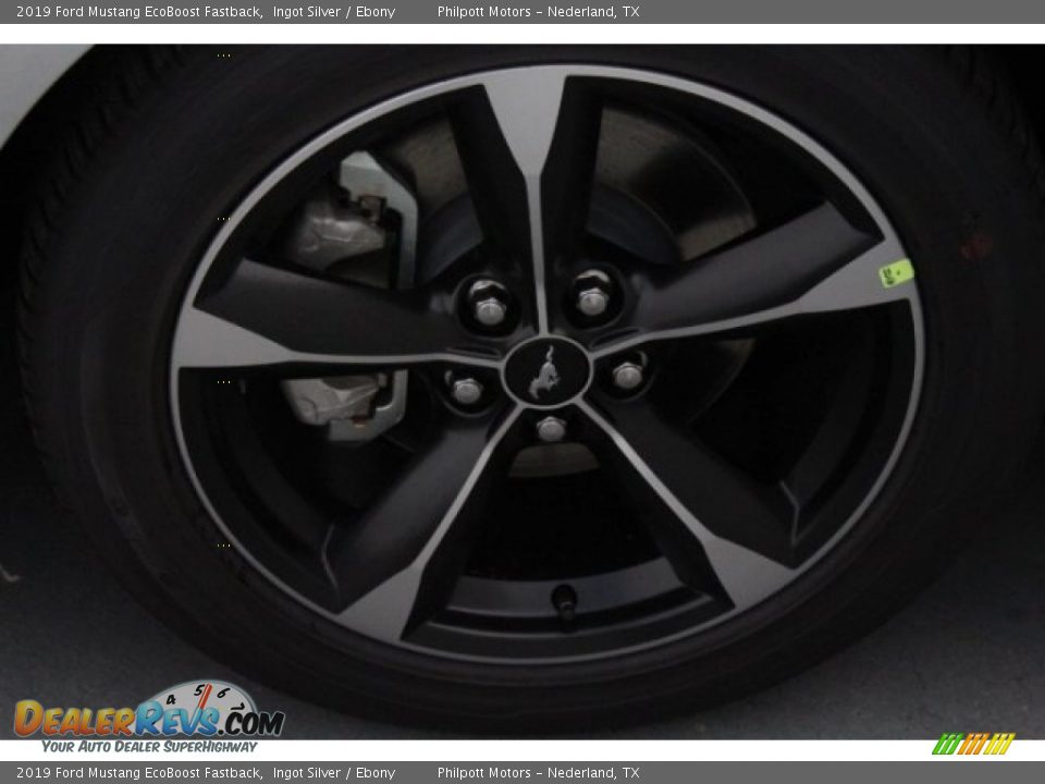 2019 Ford Mustang EcoBoost Fastback Ingot Silver / Ebony Photo #12
