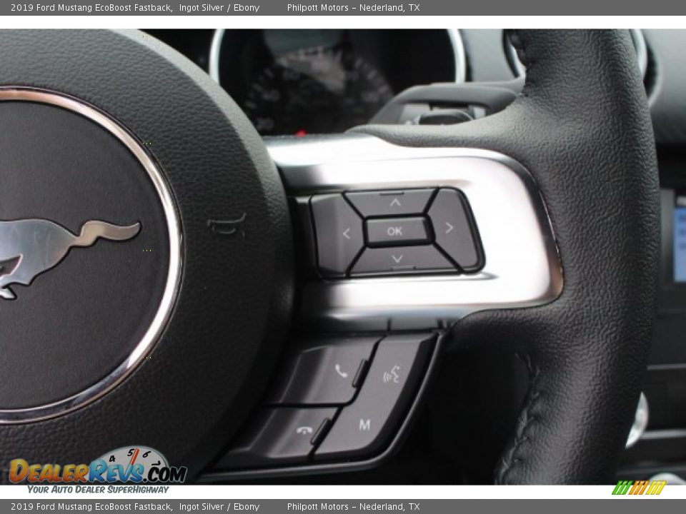 2019 Ford Mustang EcoBoost Fastback Ingot Silver / Ebony Photo #22