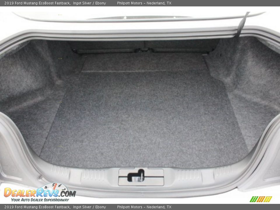 2019 Ford Mustang EcoBoost Fastback Ingot Silver / Ebony Photo #25