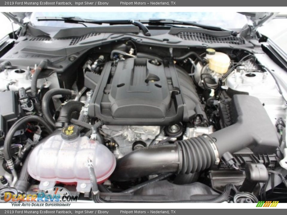 2019 Ford Mustang EcoBoost Fastback Ingot Silver / Ebony Photo #30