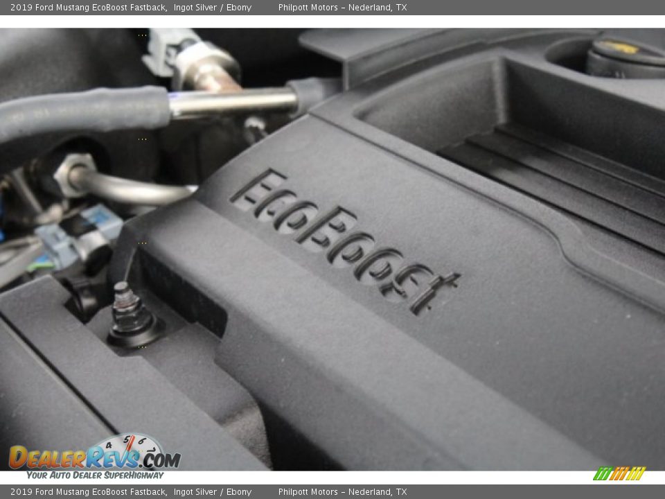2019 Ford Mustang EcoBoost Fastback Ingot Silver / Ebony Photo #31