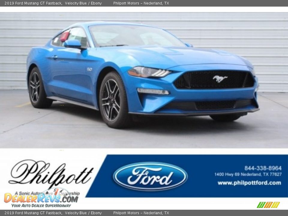 2019 Ford Mustang GT Fastback Velocity Blue / Ebony Photo #1