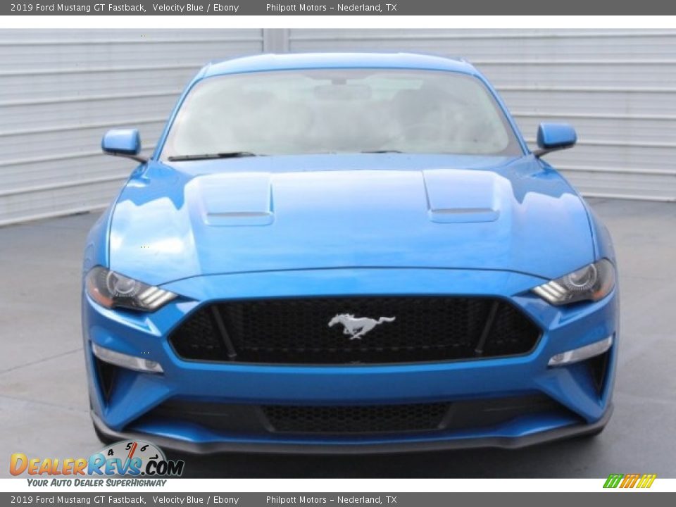 2019 Ford Mustang GT Fastback Velocity Blue / Ebony Photo #2