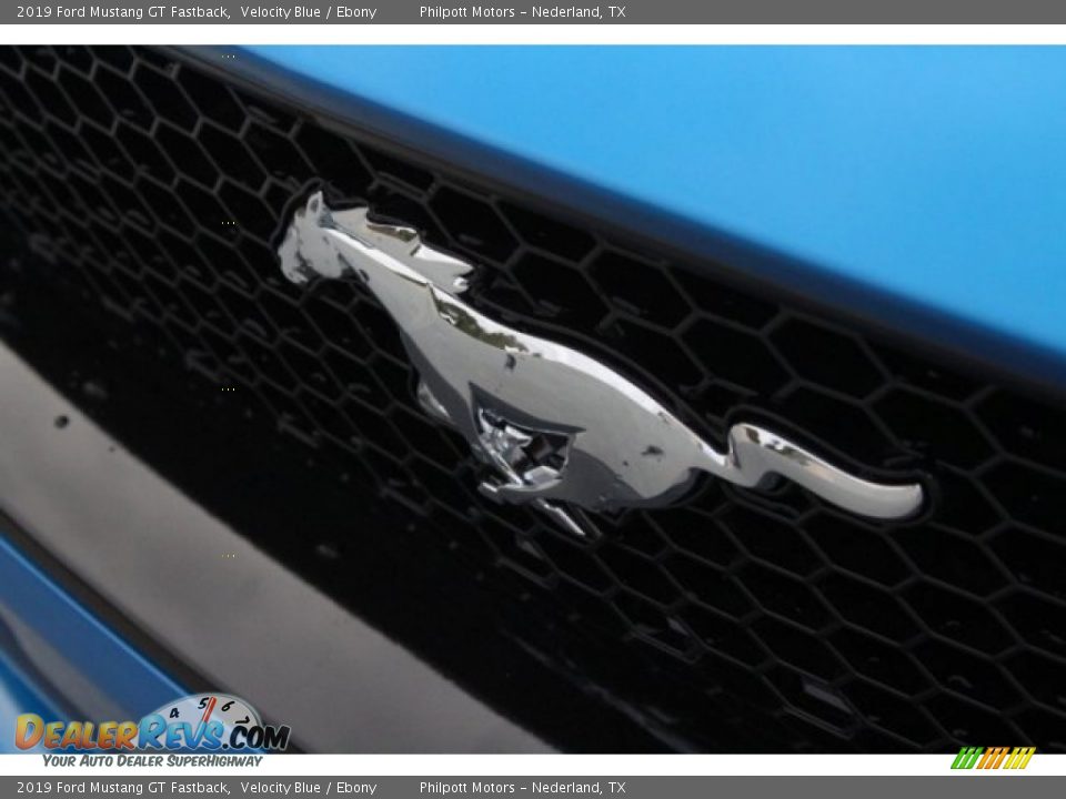 2019 Ford Mustang GT Fastback Logo Photo #4