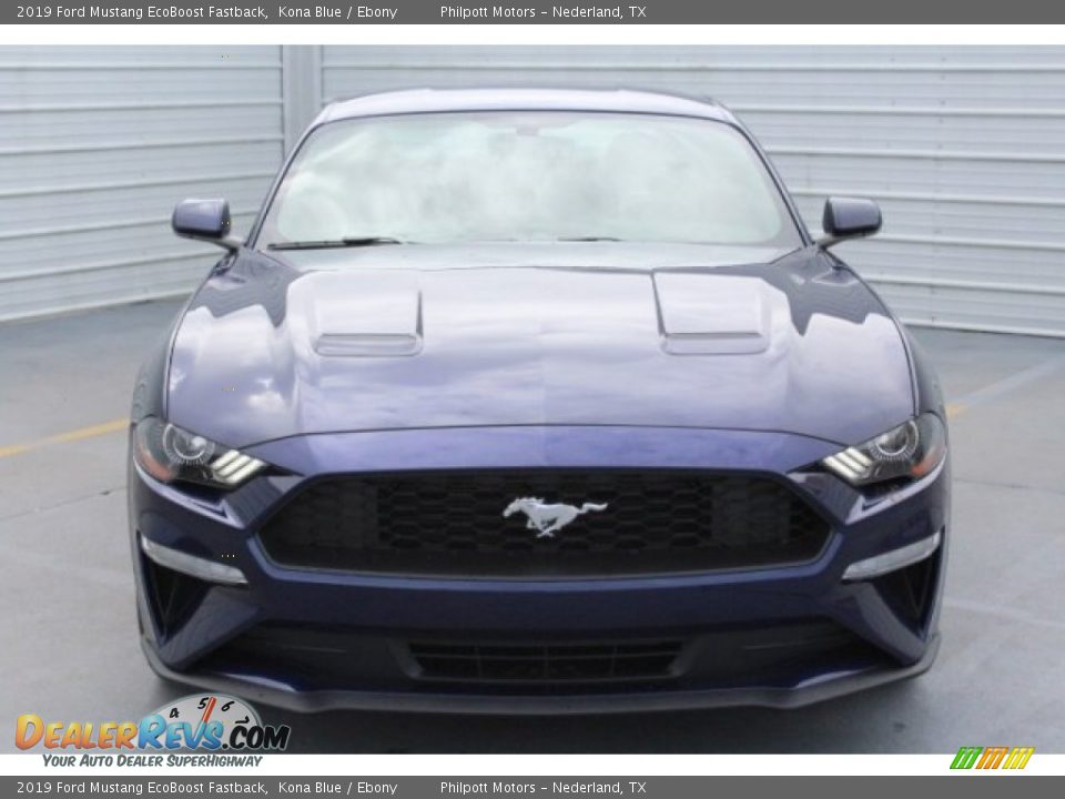 2019 Ford Mustang EcoBoost Fastback Kona Blue / Ebony Photo #2