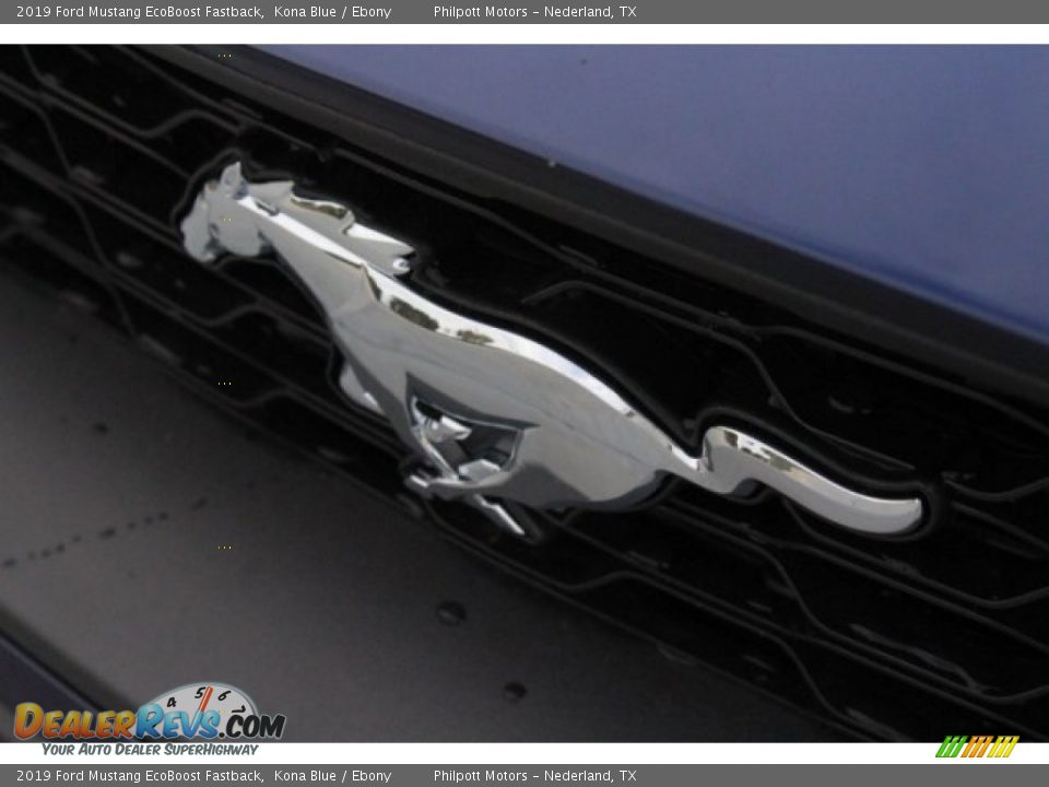 2019 Ford Mustang EcoBoost Fastback Kona Blue / Ebony Photo #4