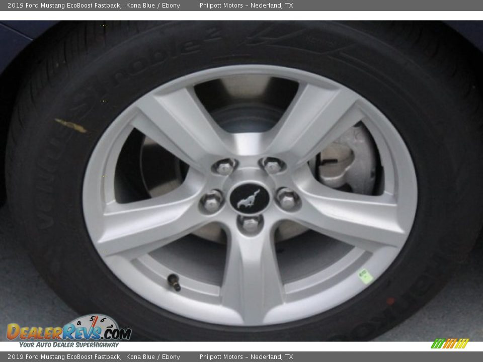 2019 Ford Mustang EcoBoost Fastback Kona Blue / Ebony Photo #5