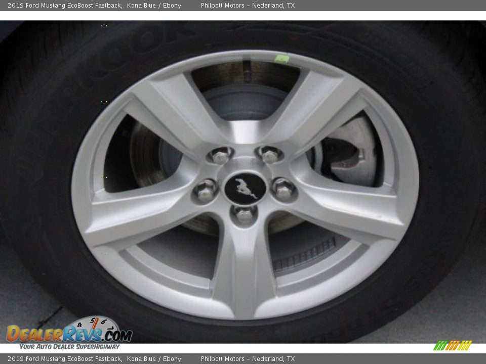 2019 Ford Mustang EcoBoost Fastback Kona Blue / Ebony Photo #6