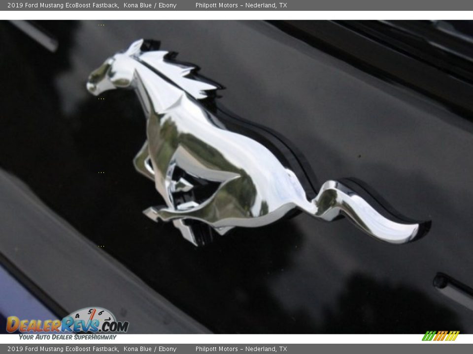2019 Ford Mustang EcoBoost Fastback Kona Blue / Ebony Photo #10