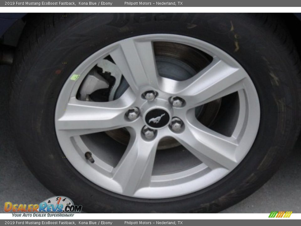 2019 Ford Mustang EcoBoost Fastback Kona Blue / Ebony Photo #11