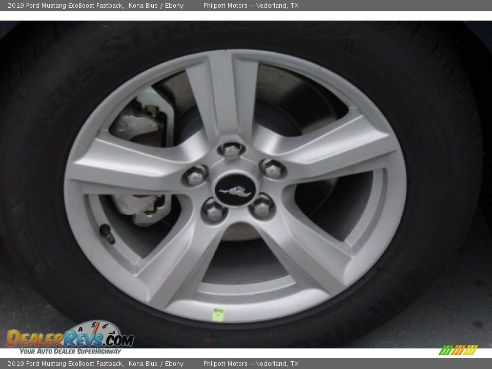 2019 Ford Mustang EcoBoost Fastback Kona Blue / Ebony Photo #12