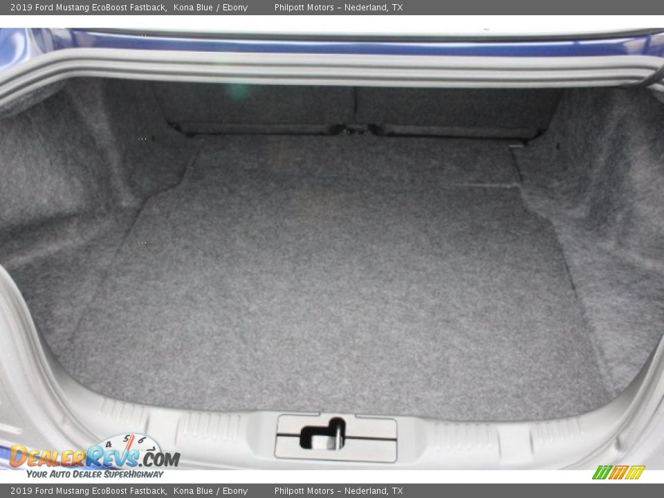 2019 Ford Mustang EcoBoost Fastback Kona Blue / Ebony Photo #25