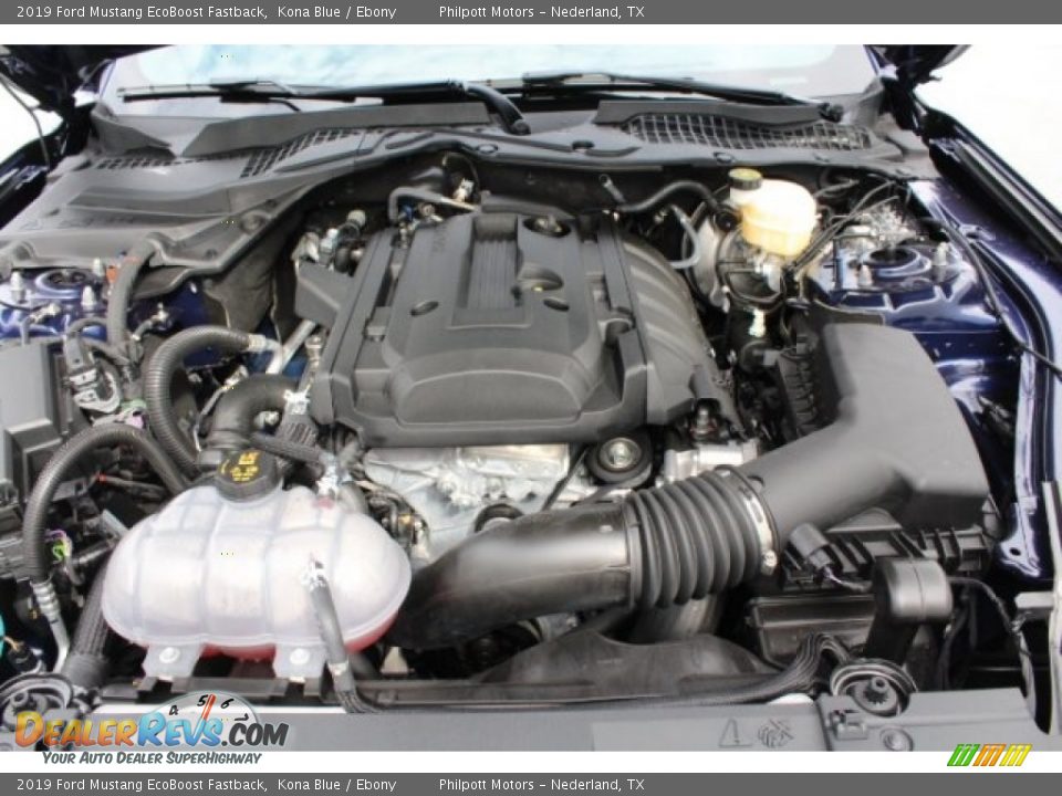 2019 Ford Mustang EcoBoost Fastback Kona Blue / Ebony Photo #30