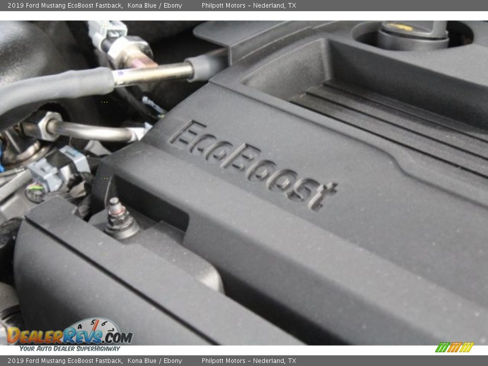 2019 Ford Mustang EcoBoost Fastback Kona Blue / Ebony Photo #31