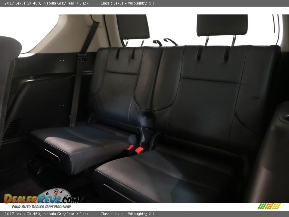 2017 Lexus GX 460 Nebula Gray Pearl / Black Photo #30