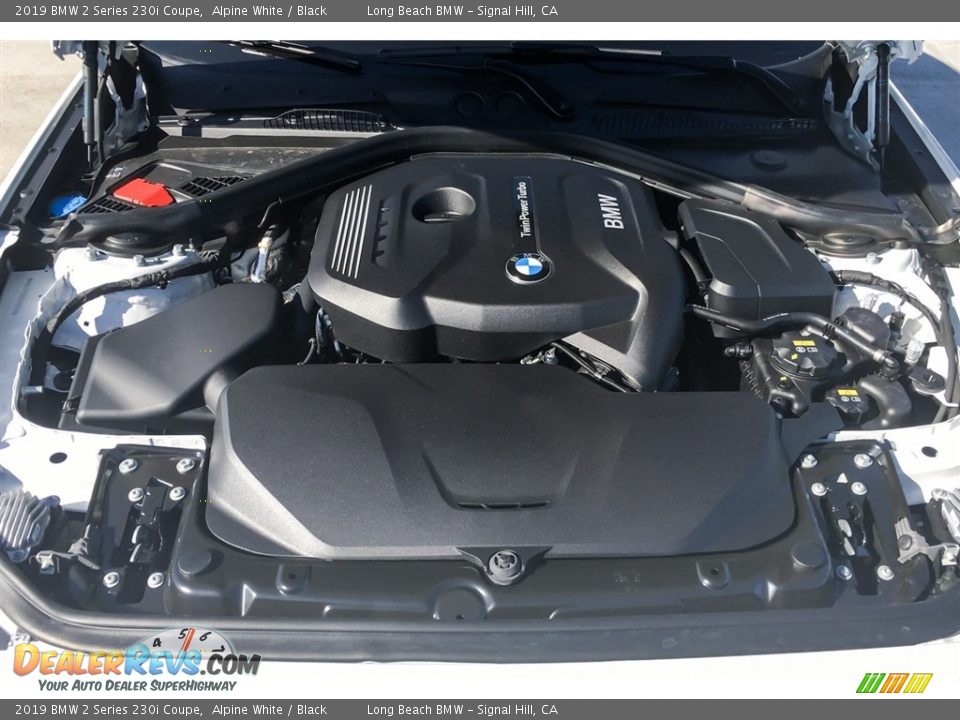 2019 BMW 2 Series 230i Coupe Alpine White / Black Photo #8