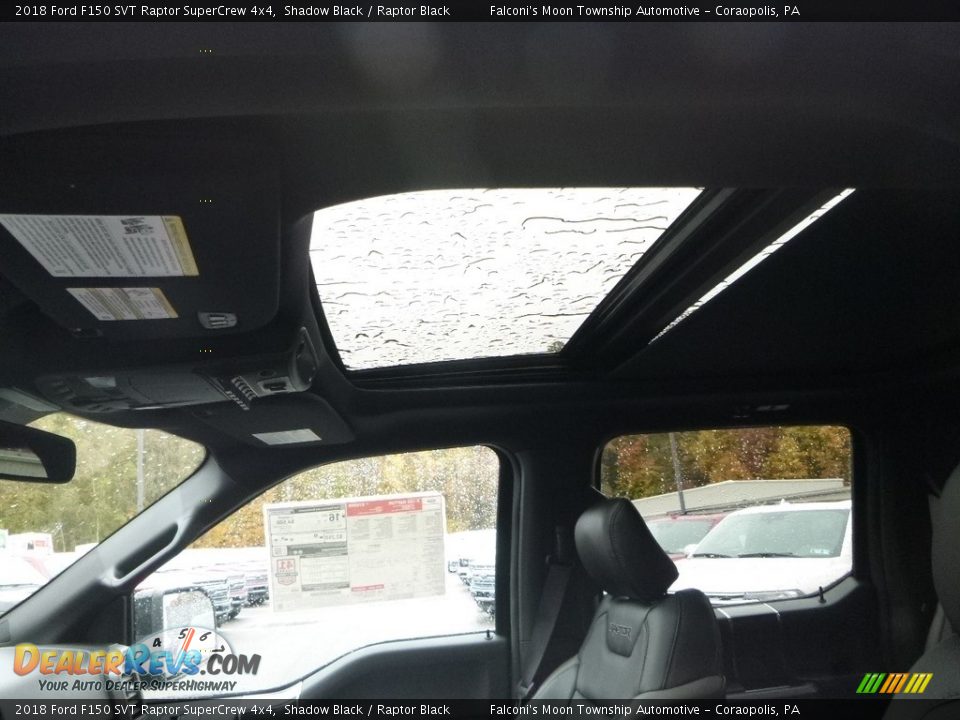 2018 Ford F150 SVT Raptor SuperCrew 4x4 Shadow Black / Raptor Black Photo #12