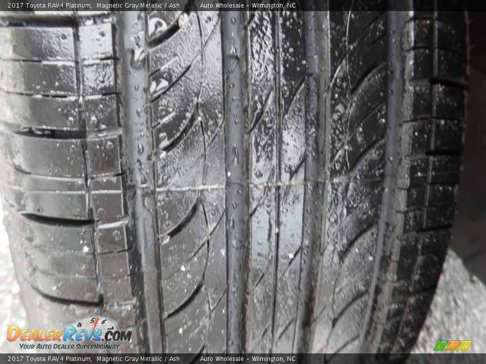2017 Toyota RAV4 Platinum Magnetic Gray Metallic / Ash Photo #9