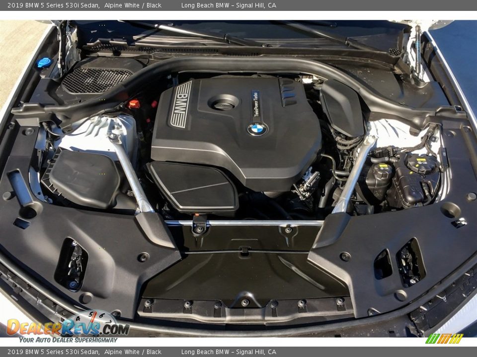 2019 BMW 5 Series 530i Sedan Alpine White / Black Photo #8