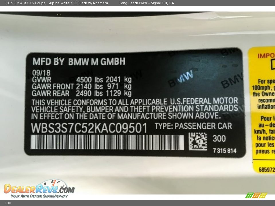 BMW Color Code 300 Alpine White