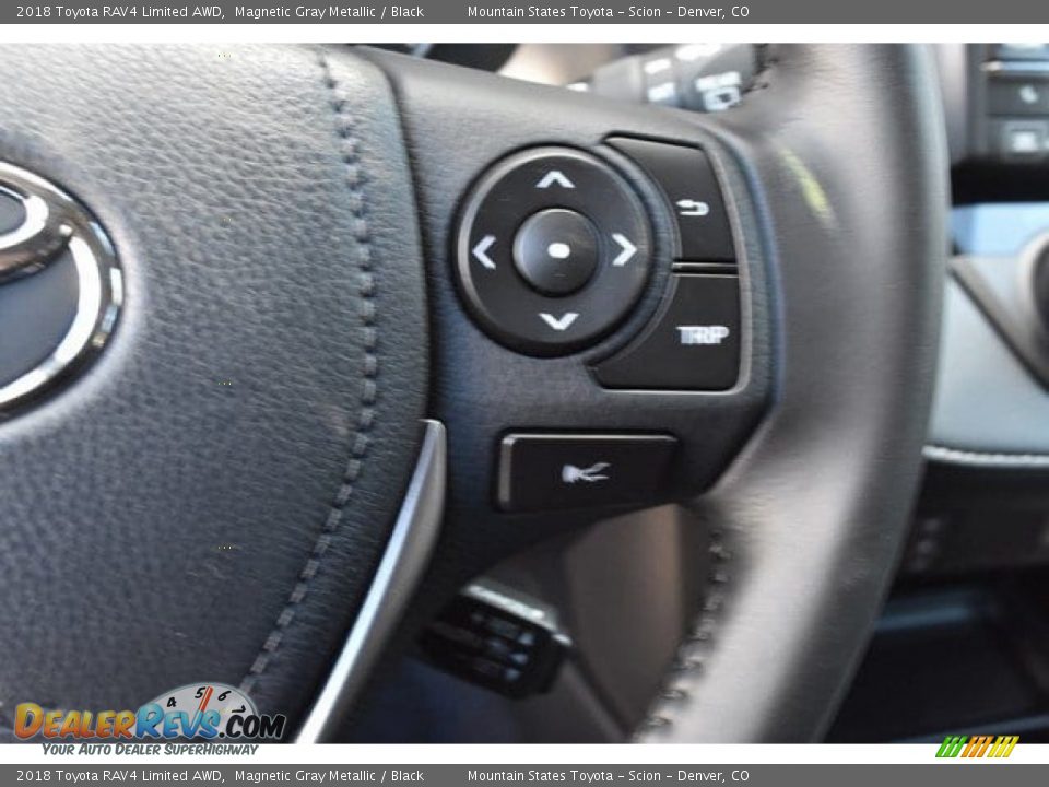 2018 Toyota RAV4 Limited AWD Magnetic Gray Metallic / Black Photo #29