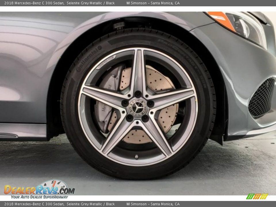 2018 Mercedes-Benz C 300 Sedan Selenite Grey Metallic / Black Photo #9