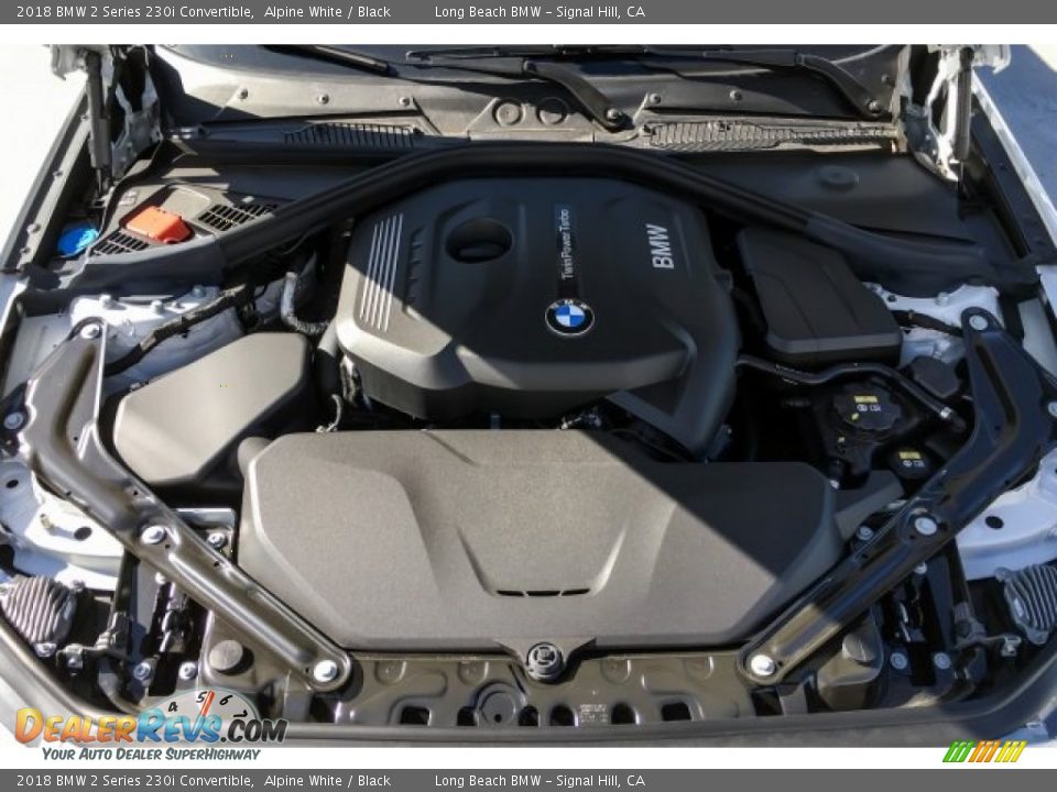 2018 BMW 2 Series 230i Convertible Alpine White / Black Photo #8