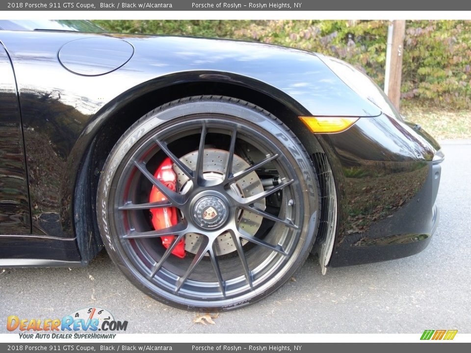 2018 Porsche 911 GTS Coupe Wheel Photo #9